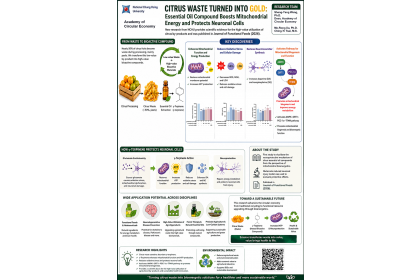Schematic illustration of the study showing how γ-terpinene derived from citrus waste activates the AMPK–SIRT1–PGC-1α–TFAM signaling pathway, enhances mitochondrial ATP production, reduces oxidative stress, and protects neuronal cells from glutamate-induc