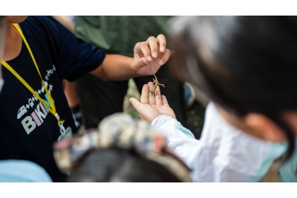 興大實驗林森林探索營 孩子走進森林觀察自然生態