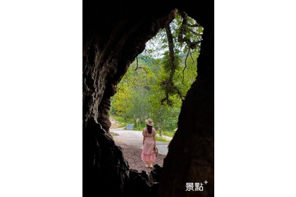 網友運用神木樹洞拍出台灣的外型 (圖/hsingfang20)